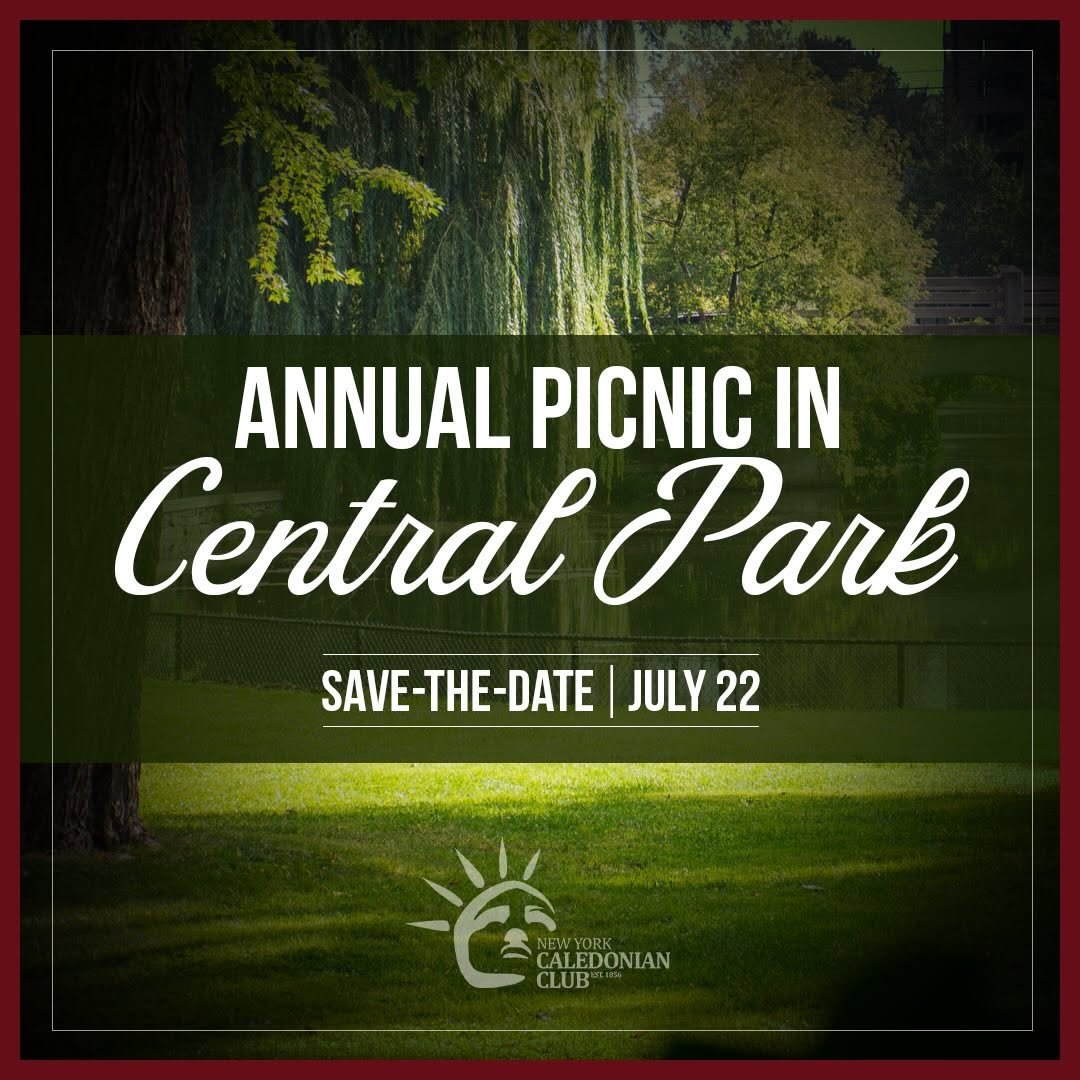 Summer Picnic in Central Park